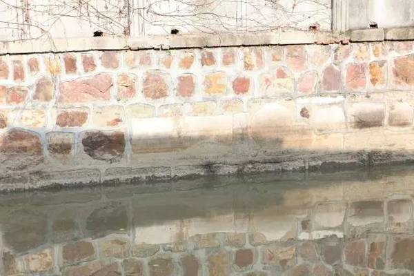 beat365:一起来捉妖山毛毛值得培养吗 山毛毛技能属性介绍(图4) beat365官网中文